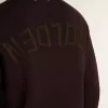 Jersey de cuello redondo marrón para hombre con las letras «Golden» en la espalda Jersey de cuello redondo marrón para hombre con las letras «Golden» en la espalda