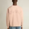 Sudadera rosa empolvado con logotipo invertido en la espalda – Jersey Capsule Sudadera rosa empolvado con logotipo invertido en la espalda – Jersey Capsule